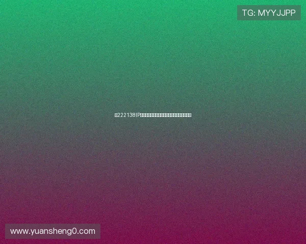 以222138IP归属地为中心的网络访问特征与区域分析研究